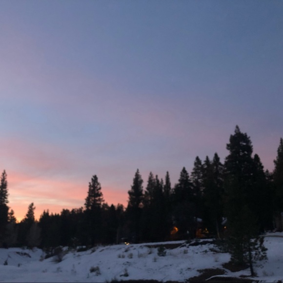 Meet your Posher, Anson - Picture 1 of 1